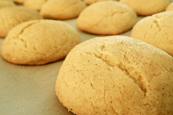 5 Fall Cookie Recipes - Snickerdoodle Cookies - The Be Well Place