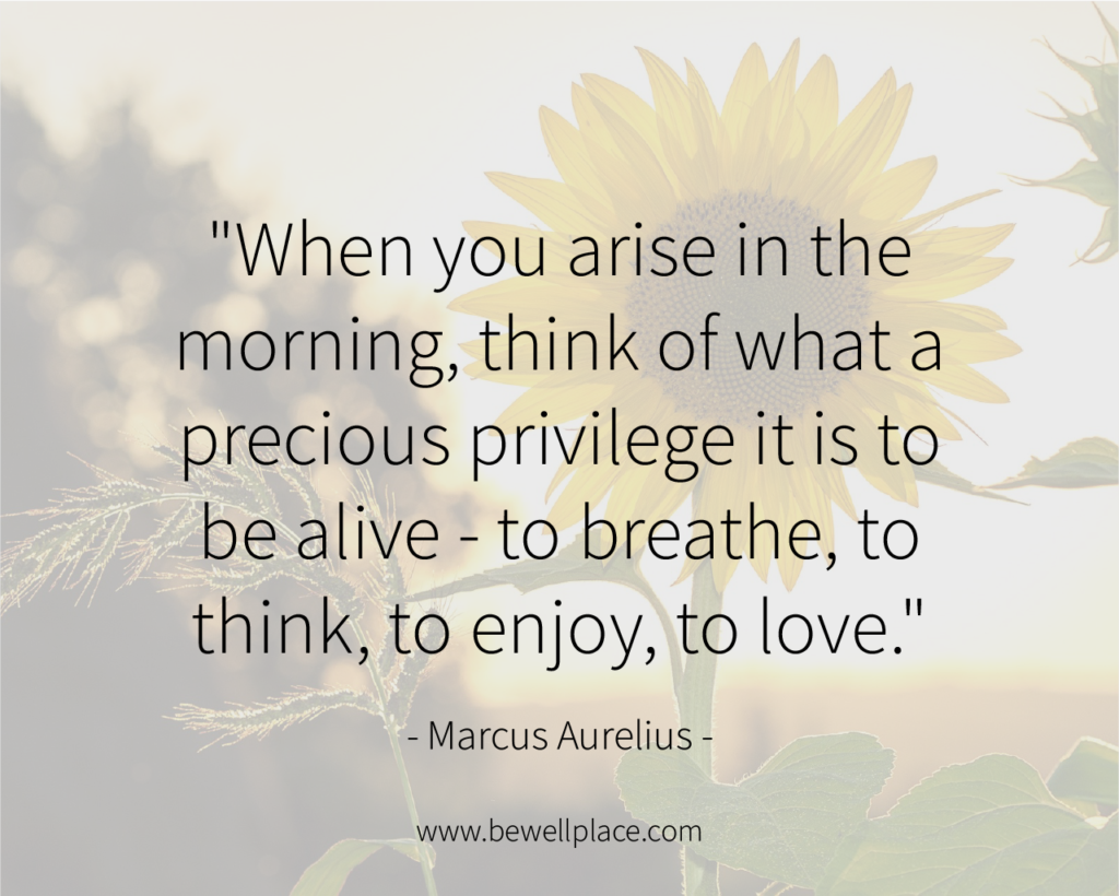 "When you arise in the morning, think of what a precious privilege it is to be alive - to breathe, to think, to enjoy, to love." - Marcus Aurelius