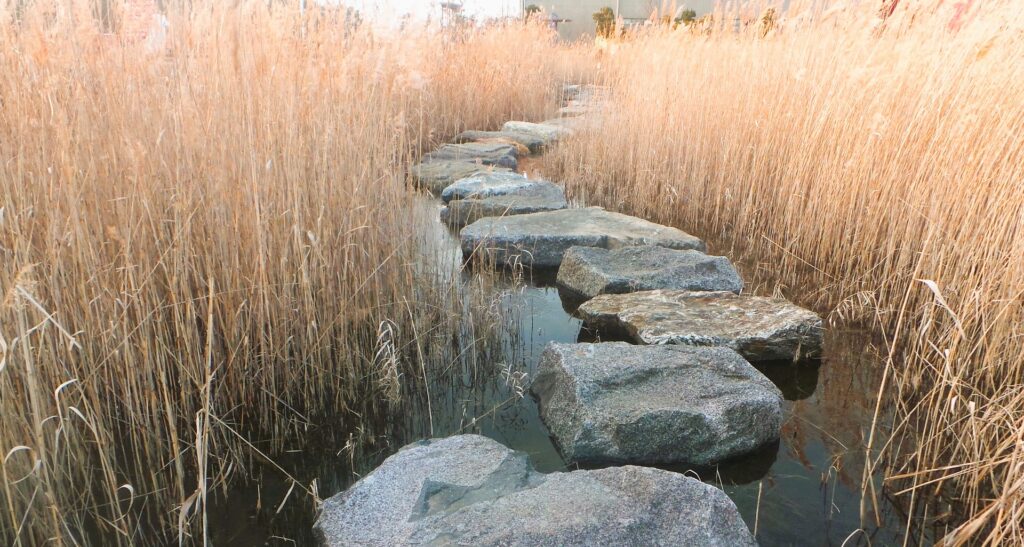 A stepping stone path between wheat stalks.